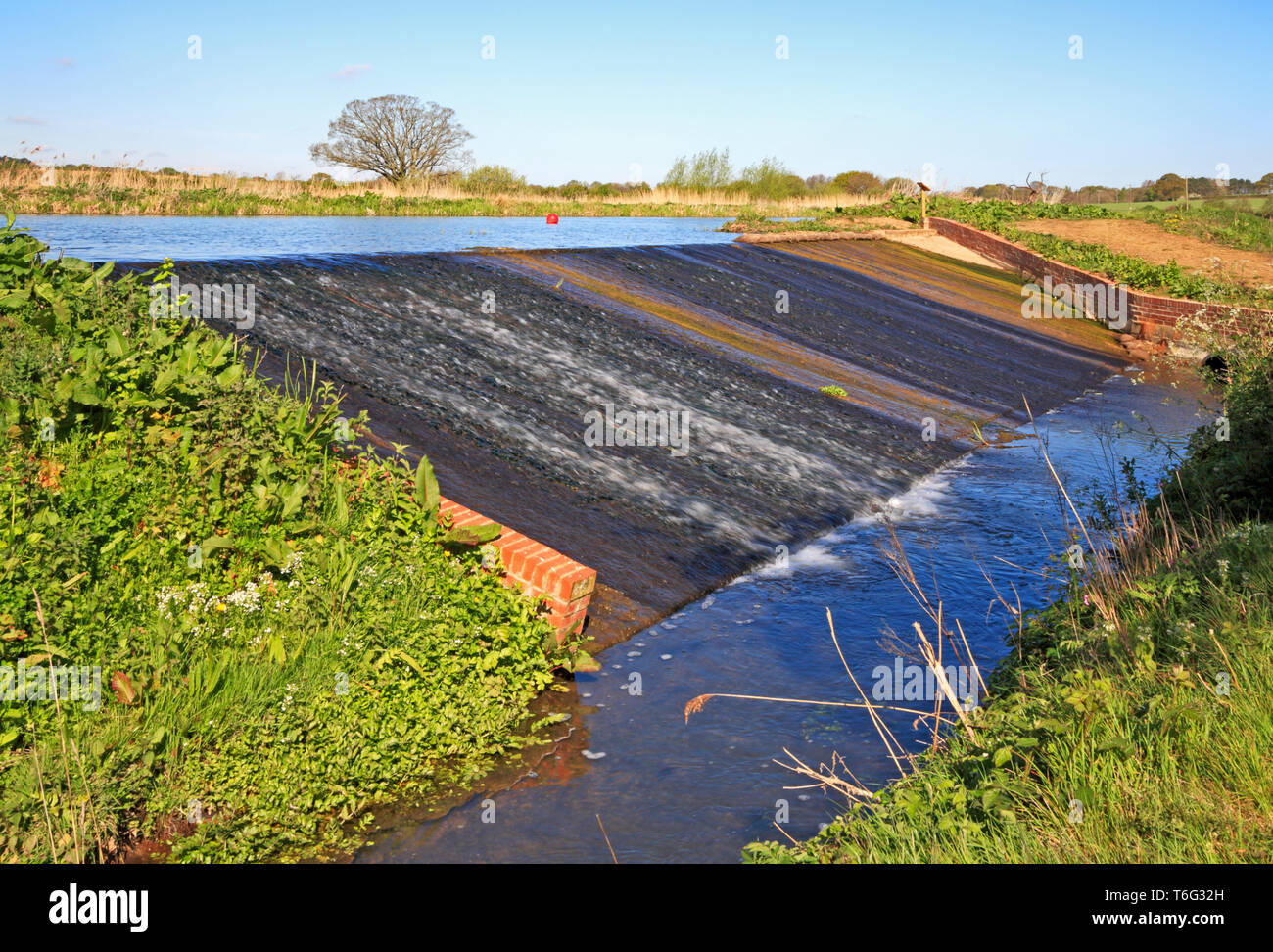 A newly constructed weir controlling water levels in the mill pool during restoration work at
