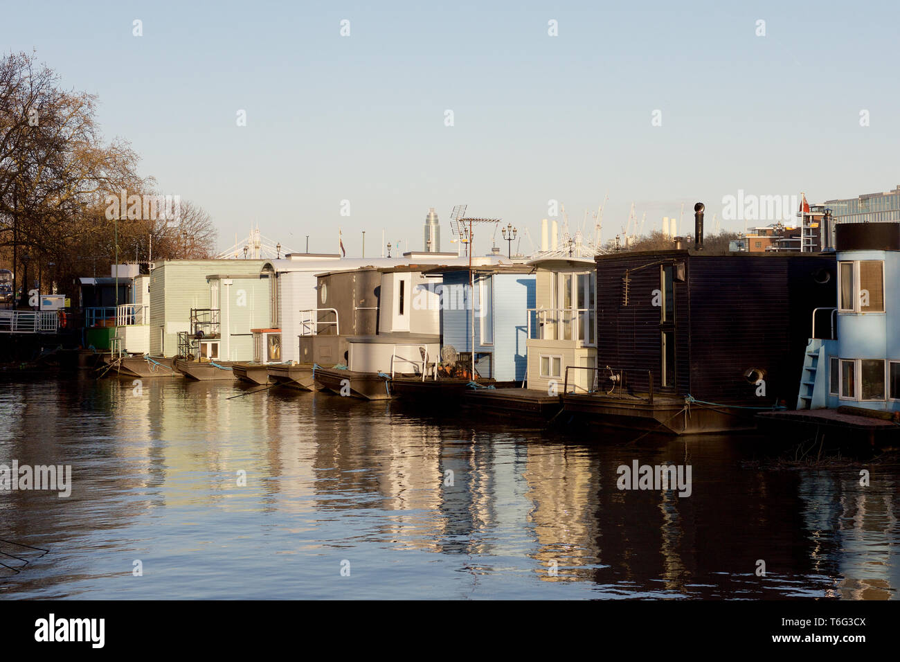 Houseboats moored on the River Thames at Chelsea in London, England Stock Photo Alamy