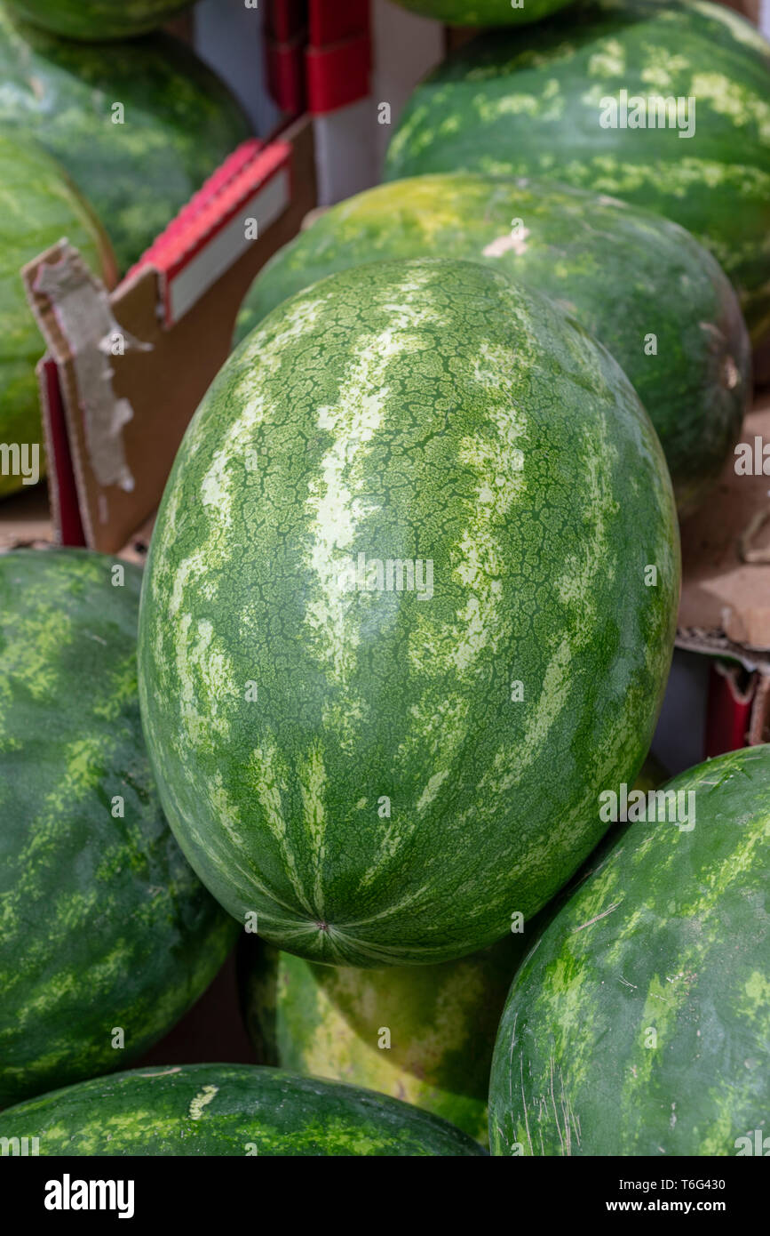 Watermelon in the market Stock Photo Alamy