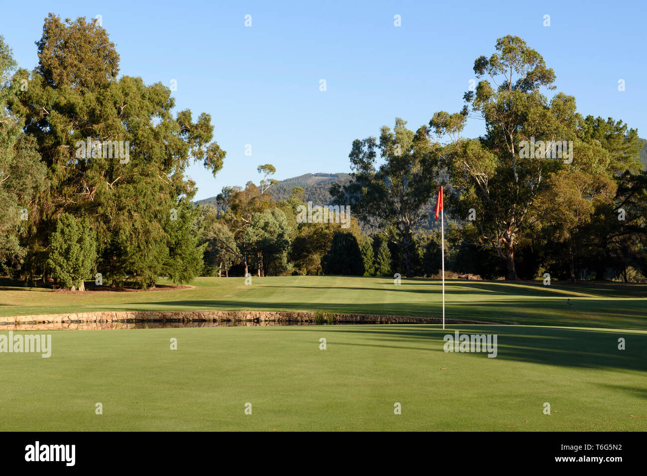 Golf flag on green looking down fairway with gum trees and blue sky