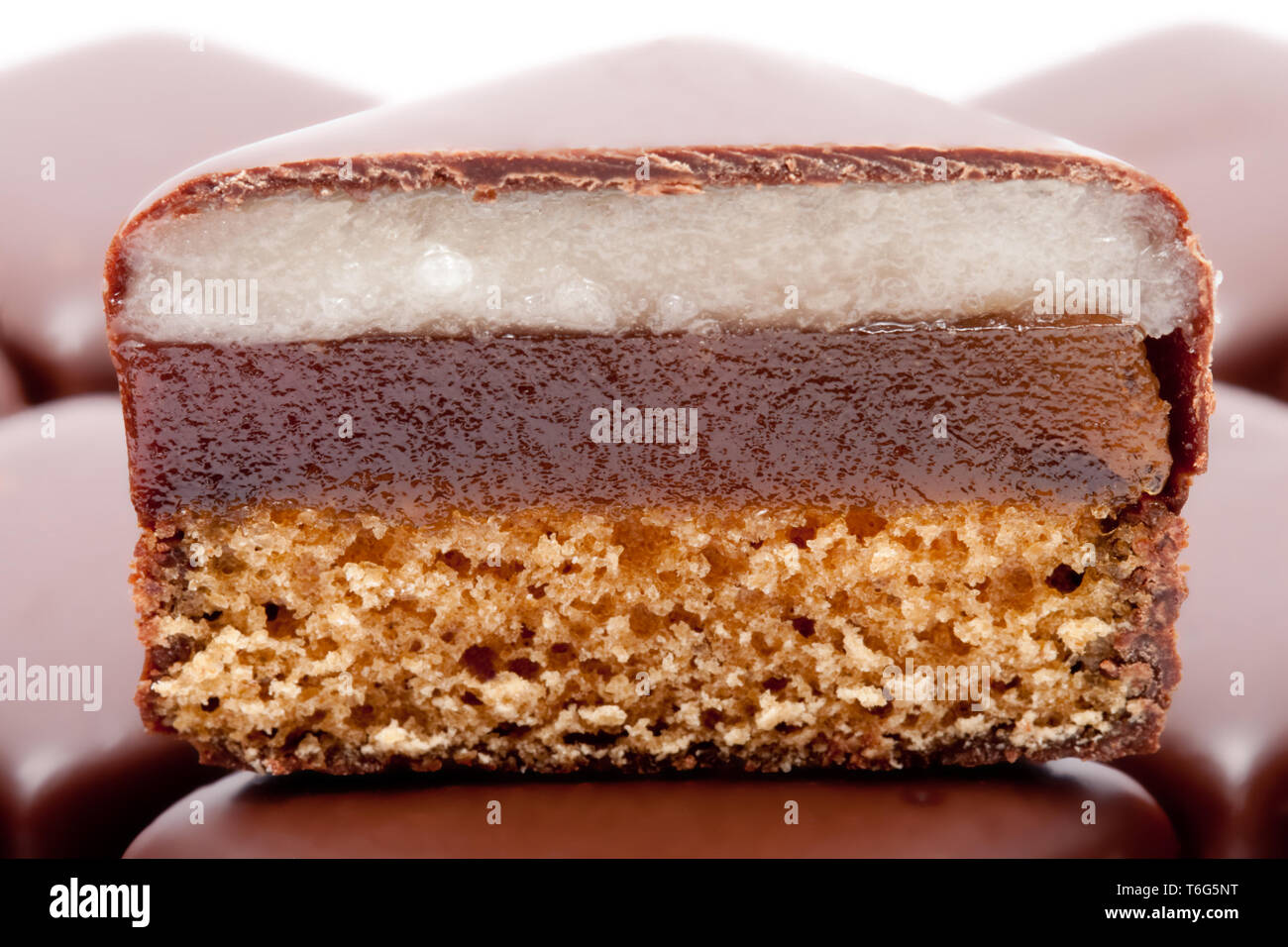 Dominosteine: a special German christmas pastry. Layers of gingerbread, jelly and persipan or marzipan with chocolate glaze Stock Photo