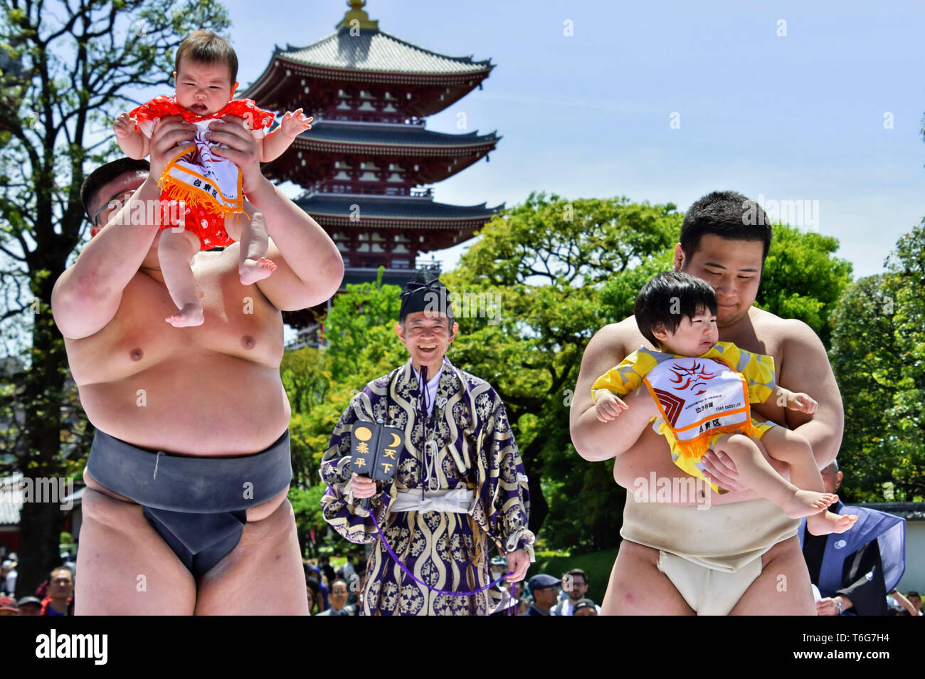 Sumo wrestlers hold up crying babies during a "Baby-cry Sumo" event at the Sensoji Temple on April 28, 2019 in Tokyo, Japan. Japanese parents believe that sumo wrestlers can help make babies cry out a wish to grow up with good health. Stock Photo
