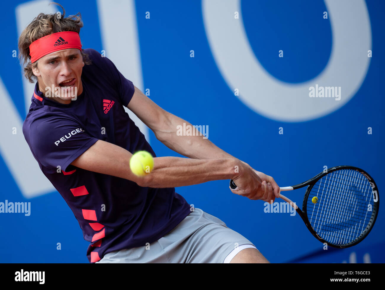 Munich, Germany. 01st May, 2019. Tennis: ATP-Tour - Munich, singles, men,  2nd round: Zverev (Germany) - Londero (Argentina). Alexander Zverev strikes  a backhand. Credit: Sven Hoppe/dpa/Alamy Live News Stock Photo - Alamy