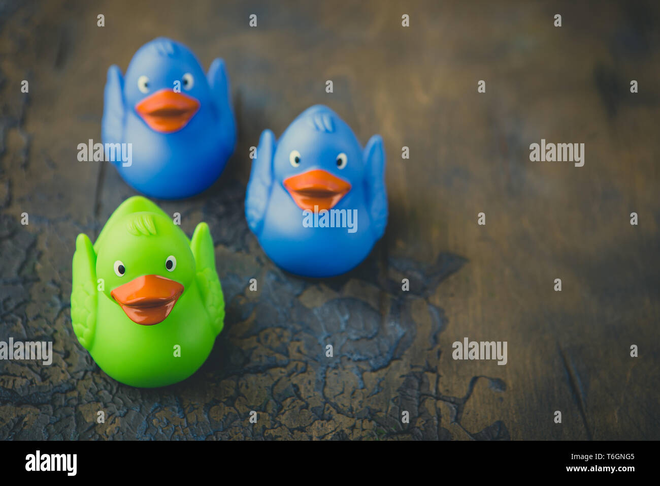Colorful rubber ducks Stock Photo