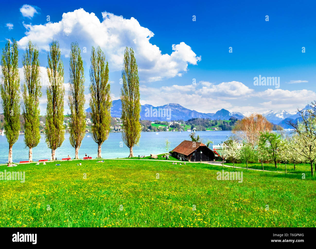 Lake Lucerne with Isoli park. Relaxing people enyoing the spring. Stock Photo