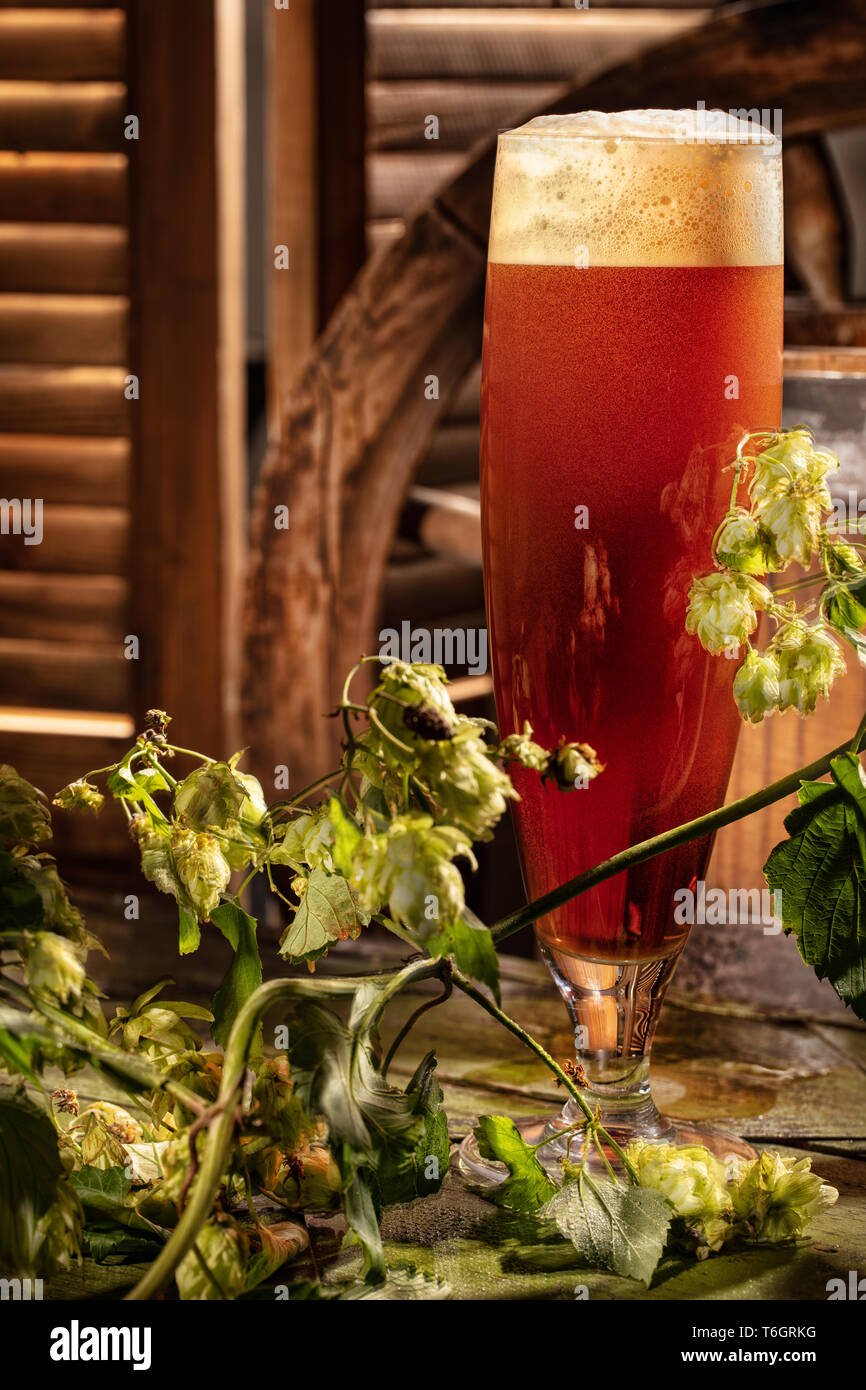 Glass Of Beer In Country Style Stock Photo Alamy