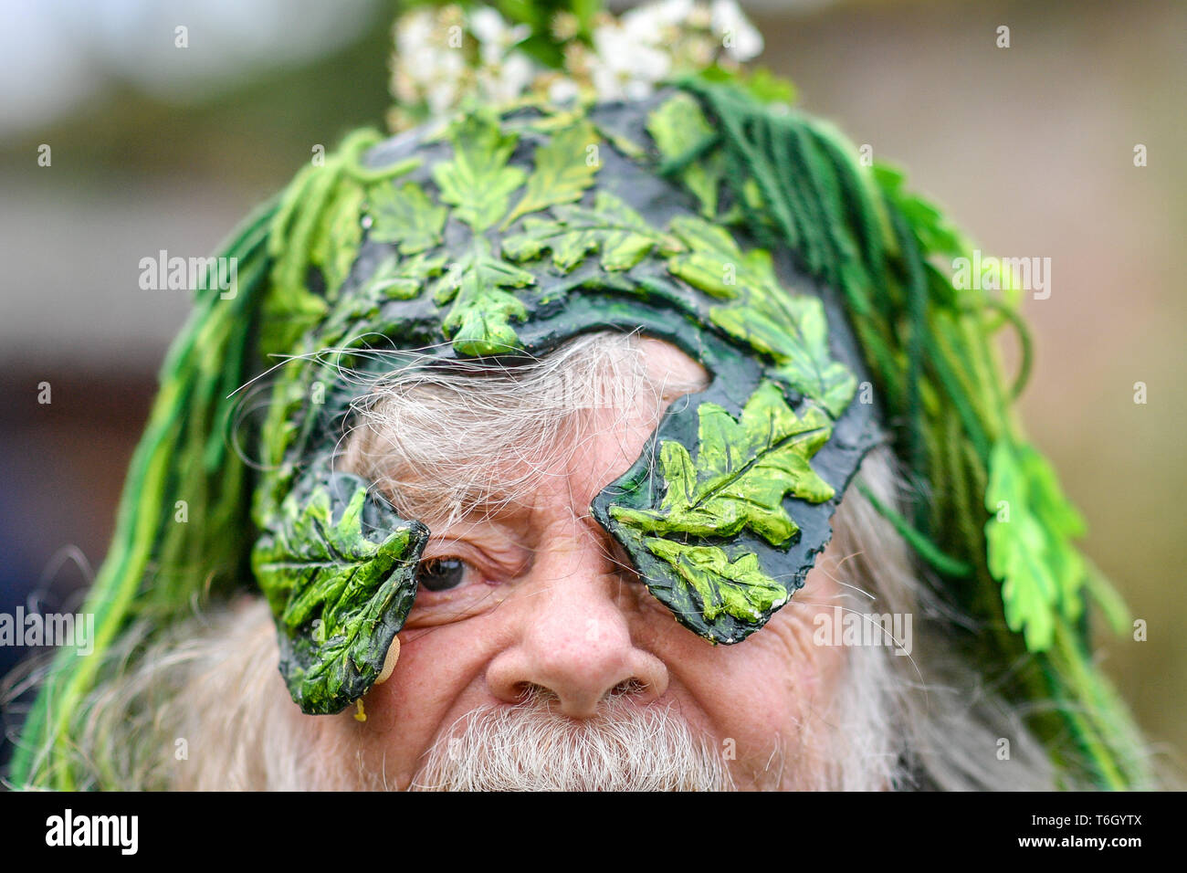 Green Man Tony Arihanto wears his traditional woodland head dress during the Beltane celebrations at Glastonbury Chalice Well, where people gather to observe a modern interpretation of the ancient Celtic pagan fertility rite of Spring. Stock Photo