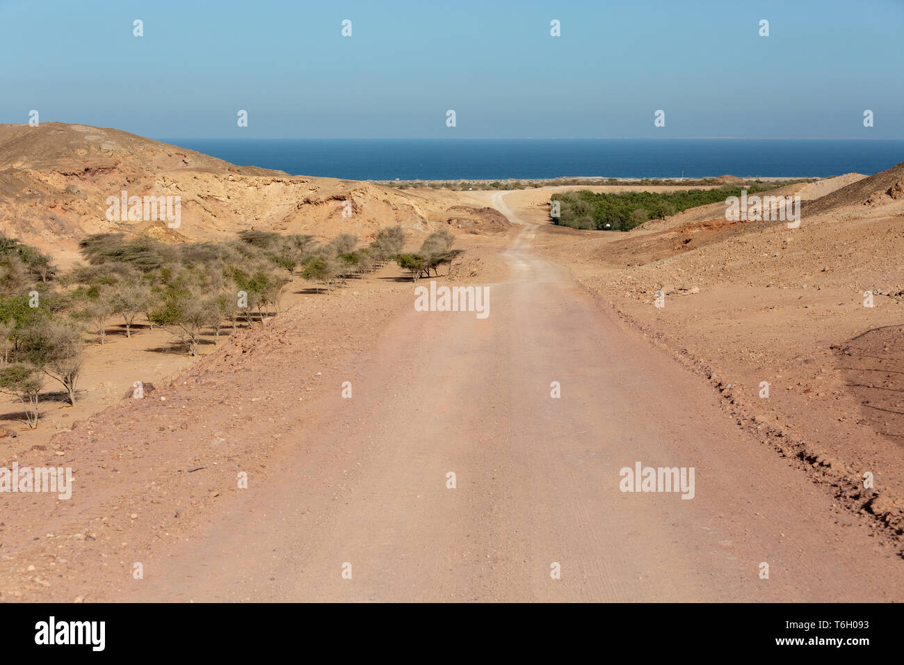 Sir Bani Yas Island, The Arabian Wildlife Park, Abu Dhabi, UAE Stock ...