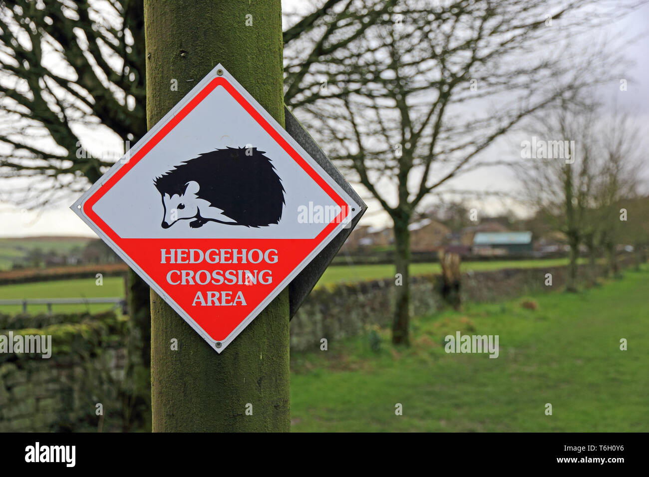 Hedgehog crossing sign Stock Photo Alamy