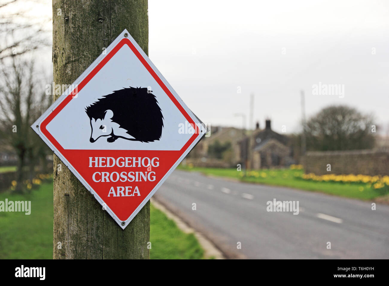 Hedgehog crossing sign Stock Photo Alamy