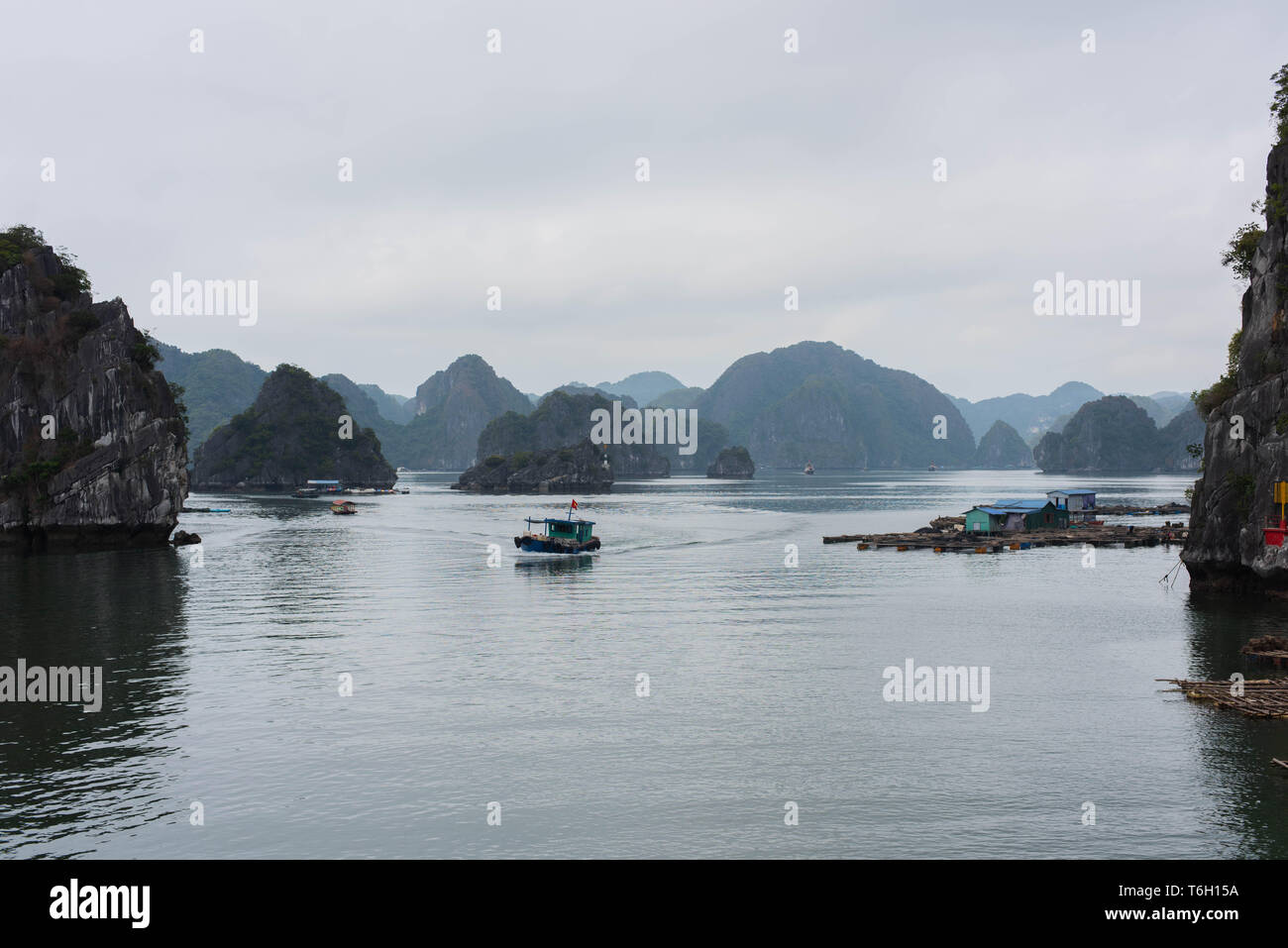 Vietnam war animals hi-res stock photography and images - Alamy