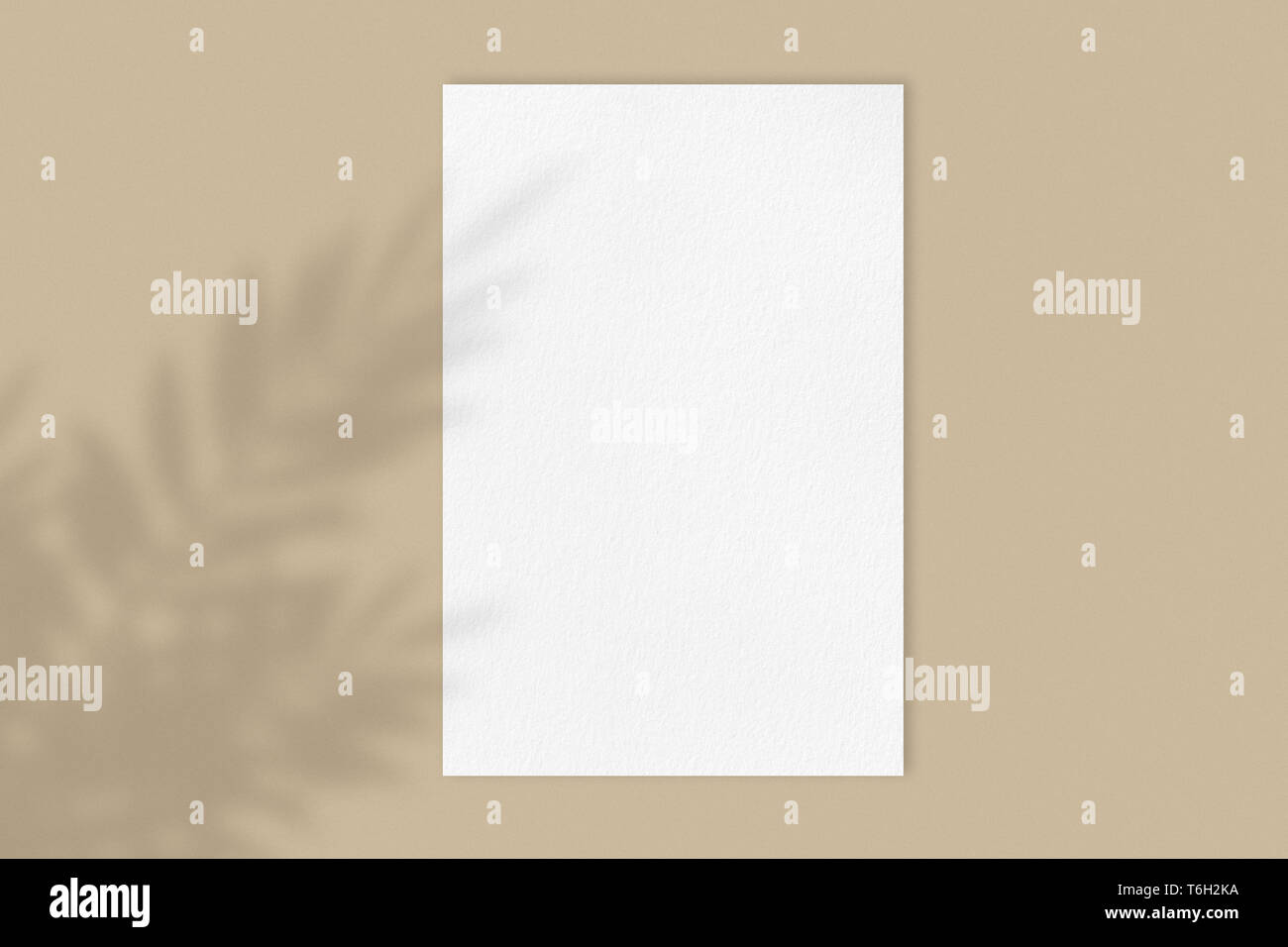 Blank white poster mockup on light pastel brown background with moody flower shadow, front view a4 paper sheet with copy space, close-up real picture Stock Photo