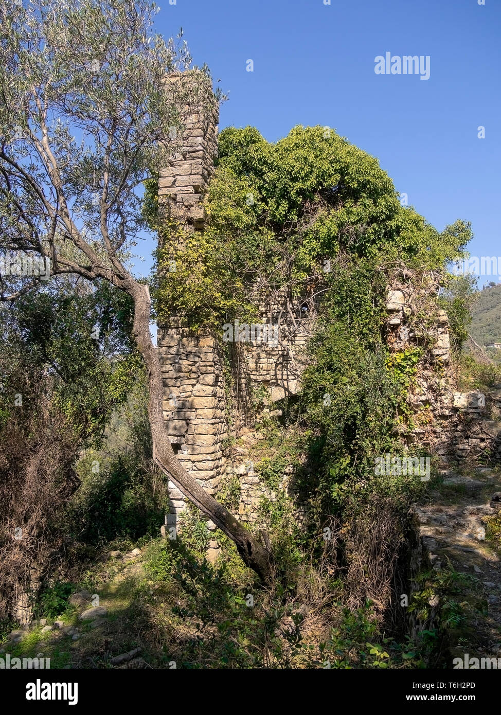 The old watchtower, Barbazzano, ancient fortified ruins near Lerici, Italy. Stock Photo