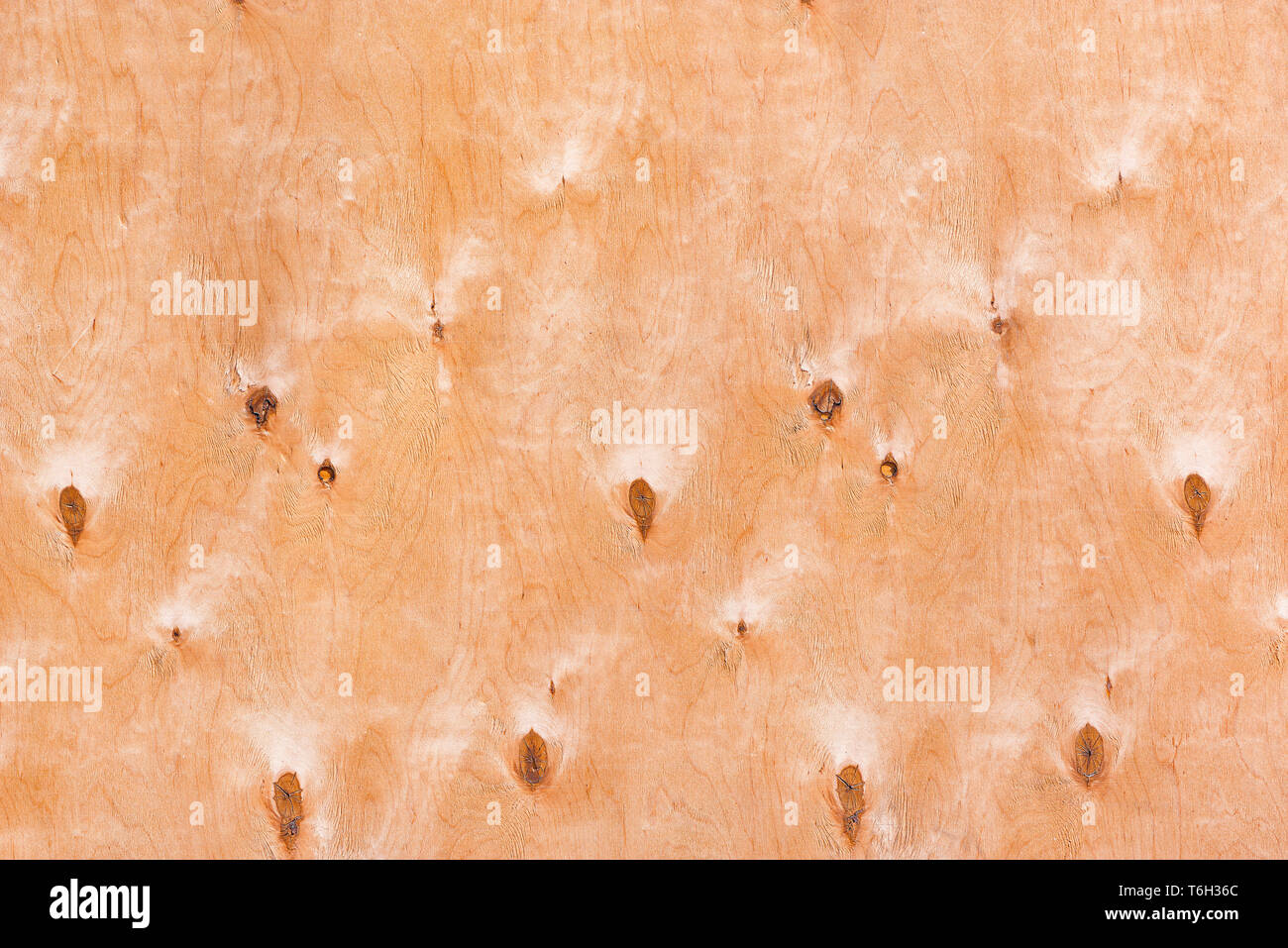 Close up image of the wood texture background Stock Photo - Alamy