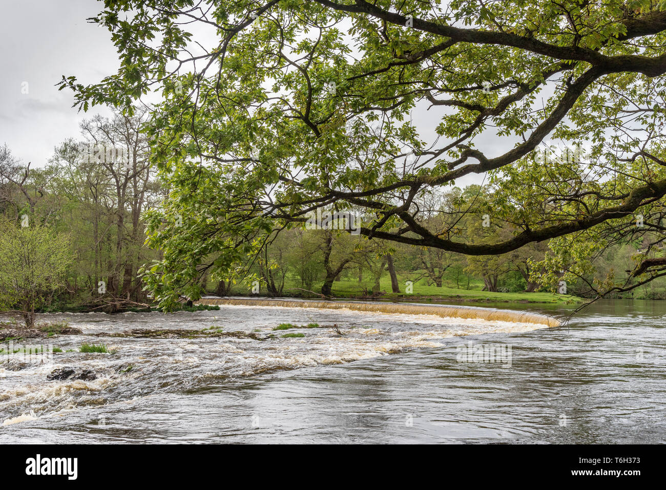 The Horseshoe falls on the river Dee at Llangollen where the Llangollen