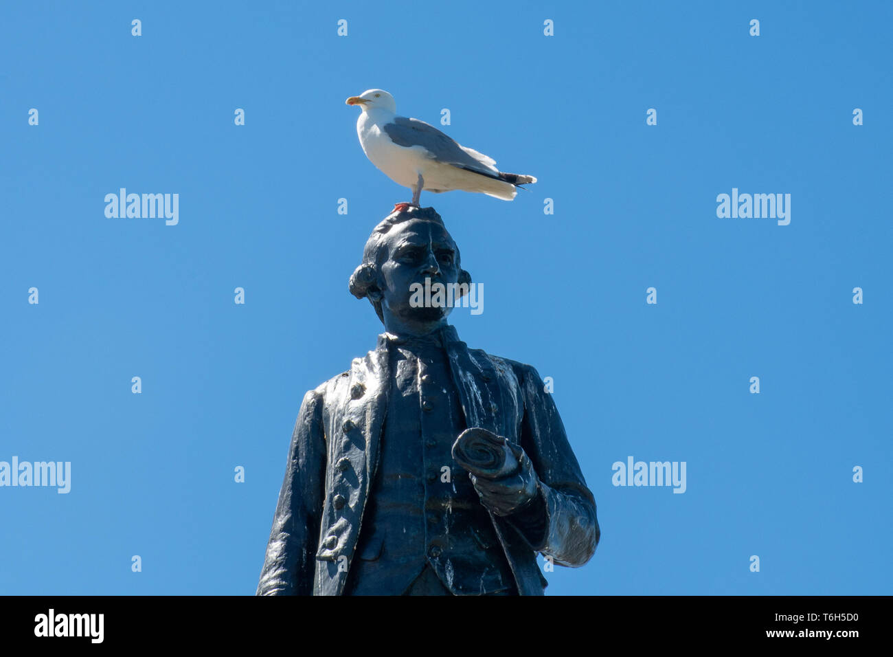 Thomas Cook Memorial at Whitby with seagull Stock Photo