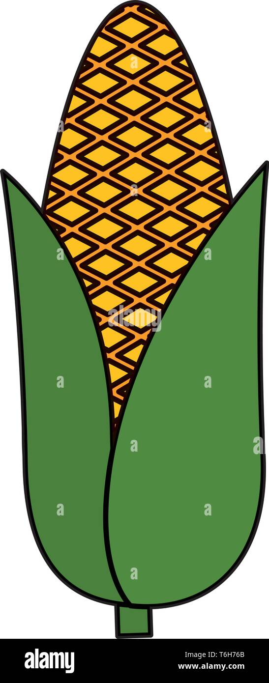 corn cob vegetable icon Stock Vector Image & Art - Alamy