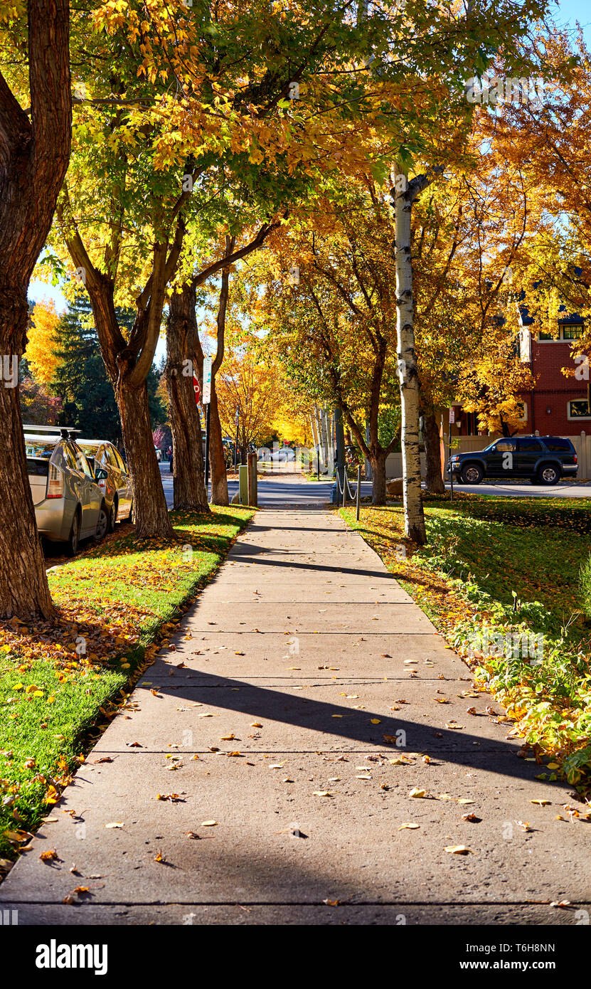 Aspen street hires stock photography and images Alamy