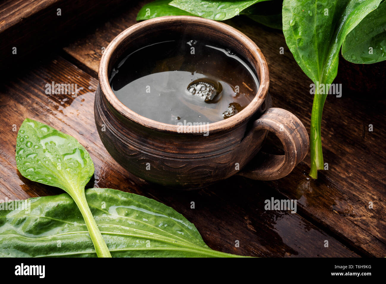 Cup of healthy herbal tea.Homeopathic tea from plantain Stock Photo