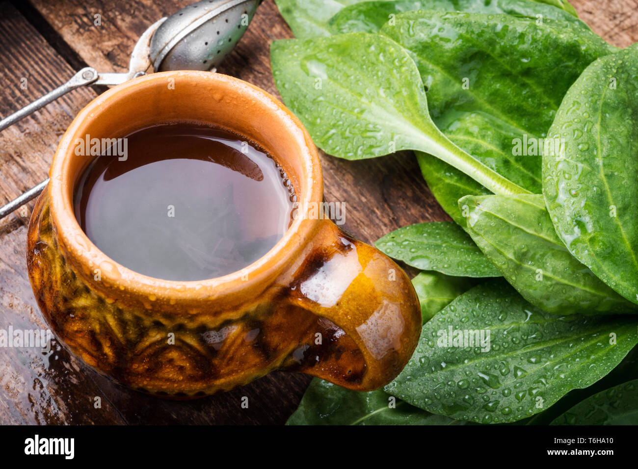 Delicious herbal tea.Homemade homeopathic tea from plantain Stock Photo