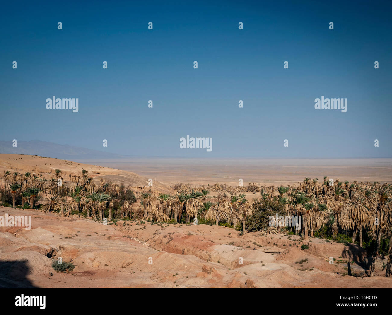 desert landscape view in garmeh oasis near yazd southern iran Stock Photo