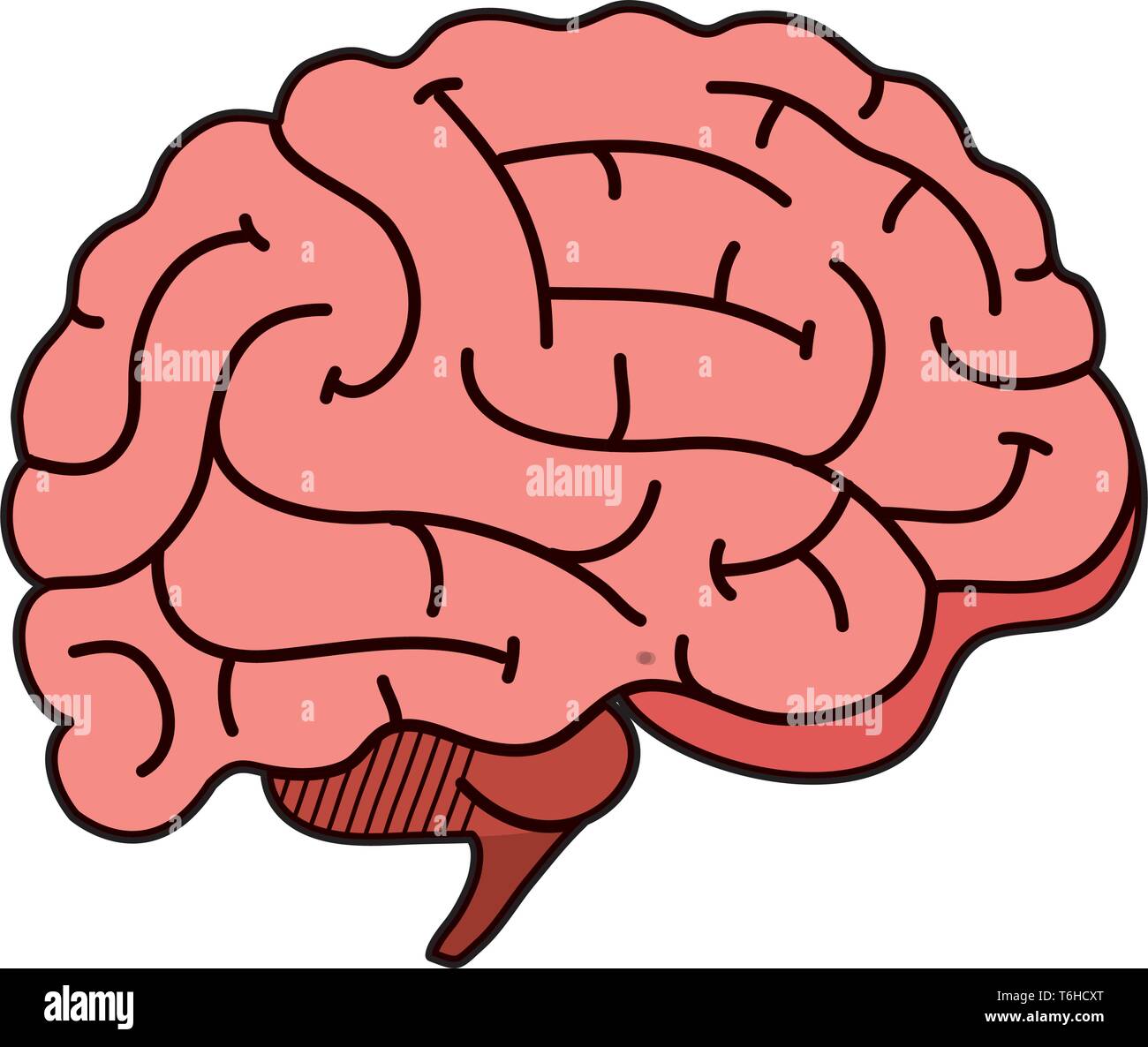 brain human organ icon Stock Vector Image & Art - Alamy