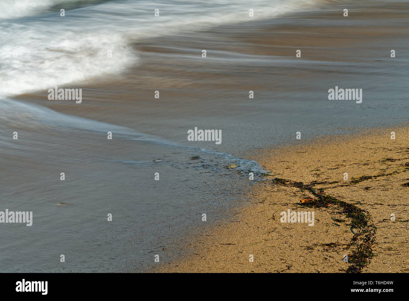Detail view of a wave, which runs out on a sandy beach, the blue color of the sky is reflected in the shallow water, some washed-up seagrass on the sa Stock Photo