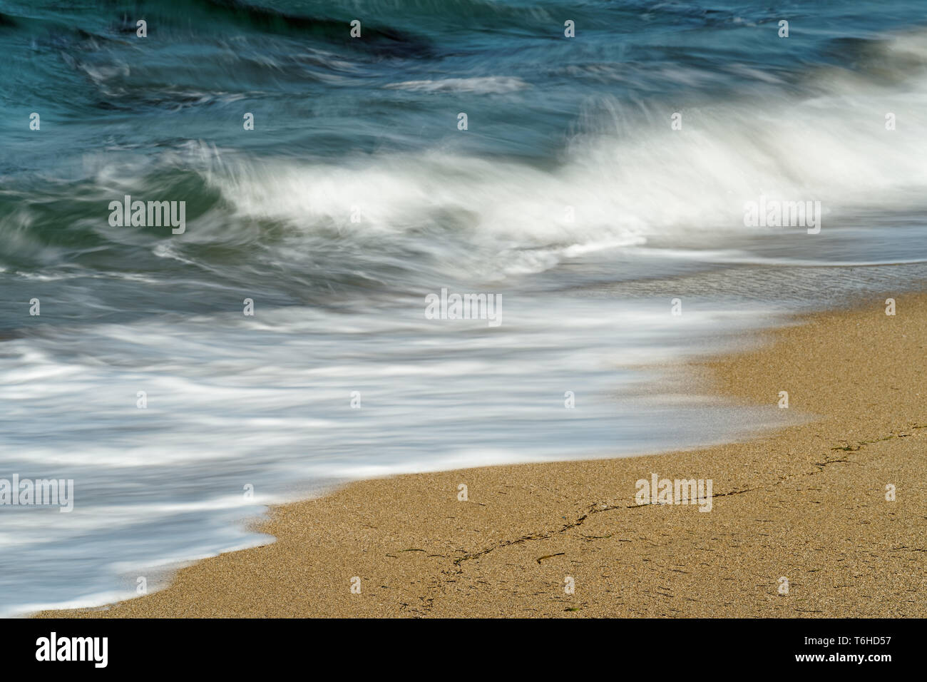 Detail view of a wave, which runs out on a sandy beach, the blue color of the sky is reflected in the water, some washed-up seagrass on the sand, wate Stock Photo