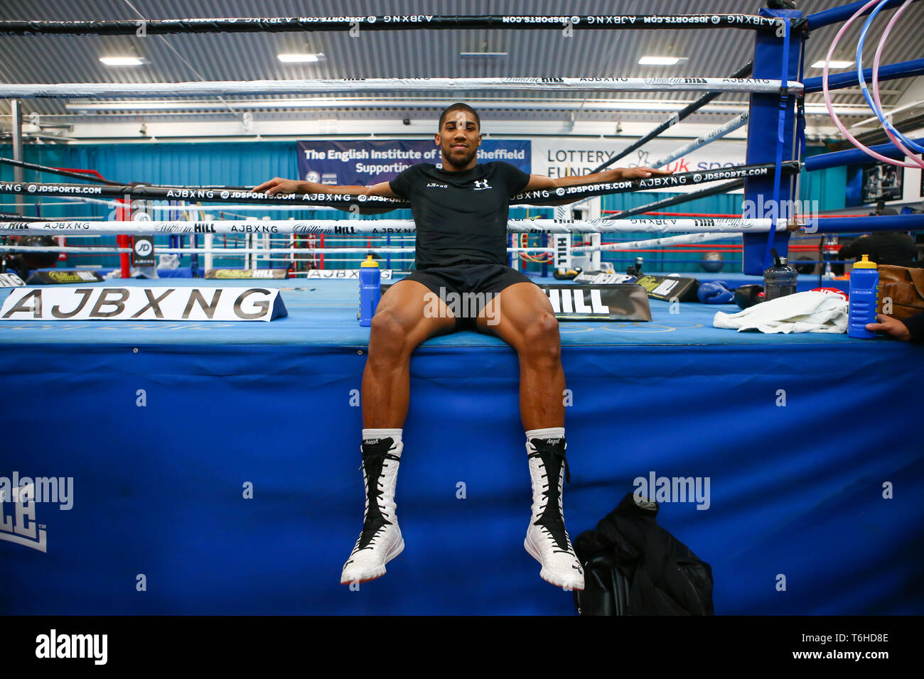 anthony joshua boxing shoes