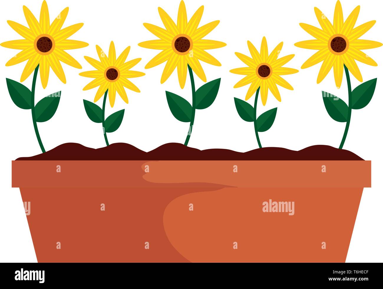 sunflowers in pot icon Stock Vector Image & Art - Alamy