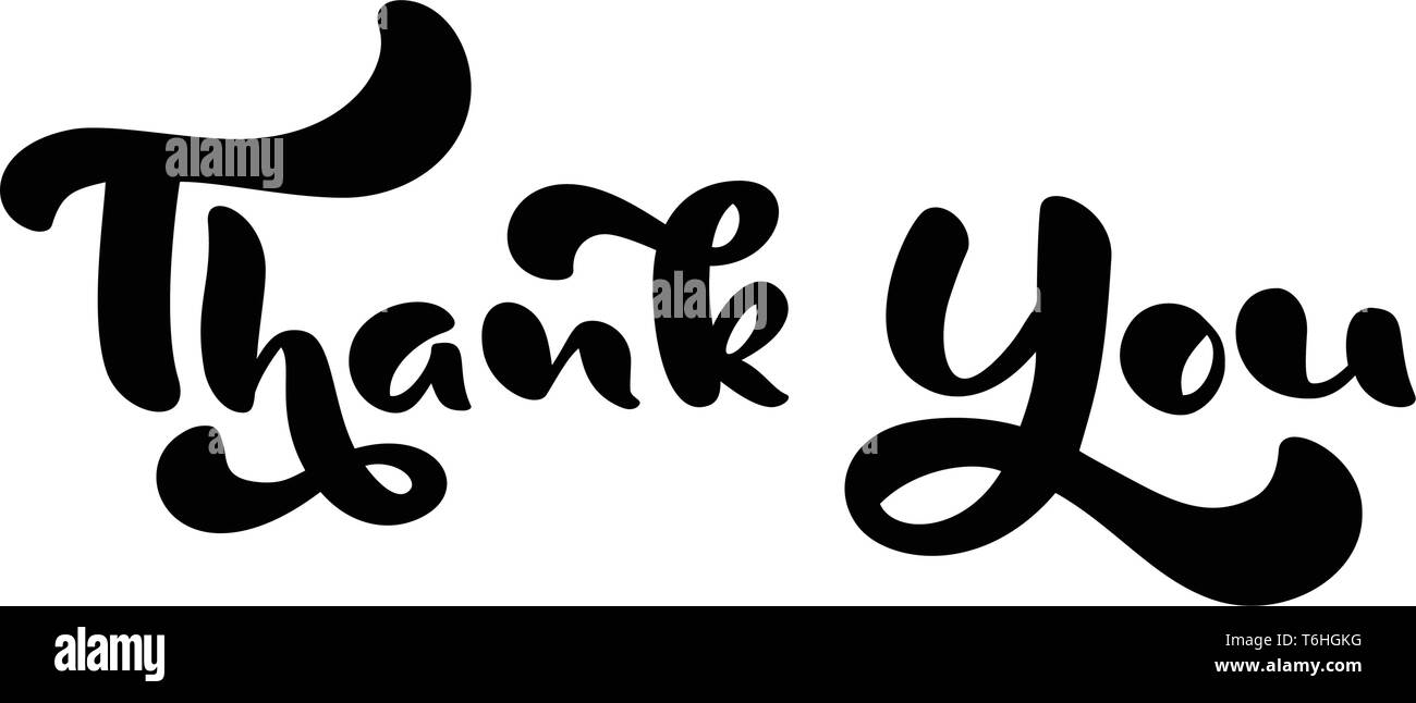 Thank You Hand Drawn Calligraphic Lettering Text Handwritten Vector Illustration For Greeting 7703