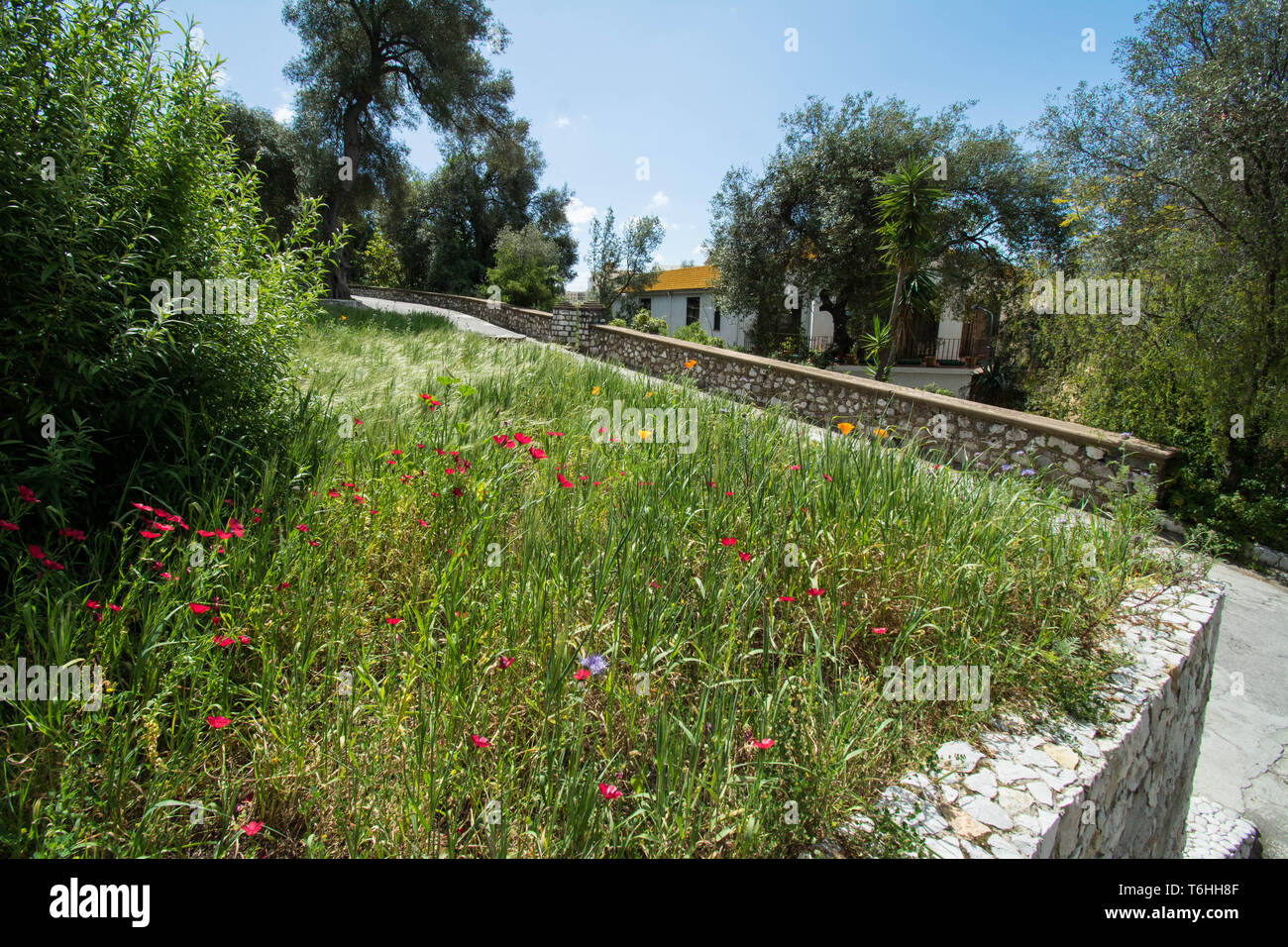 Botanic gardens in Gibraltar Stock Photo - Alamy