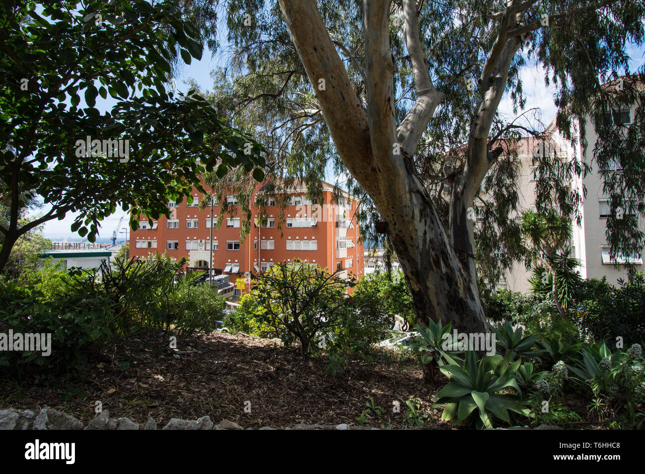 Botanic gardens Gibraltar Stock Photo - Alamy