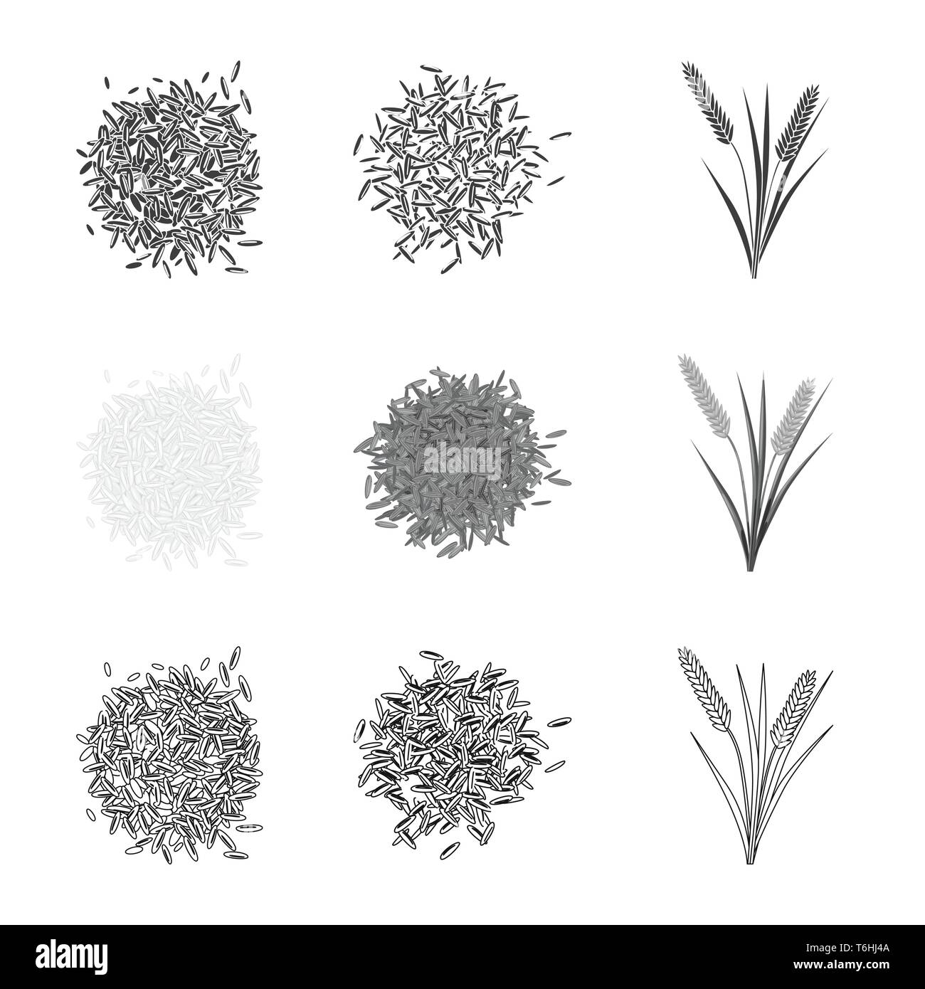 grain,rice,white,unpolished,leaf,seed,garden,cereal,panicle,heap ...