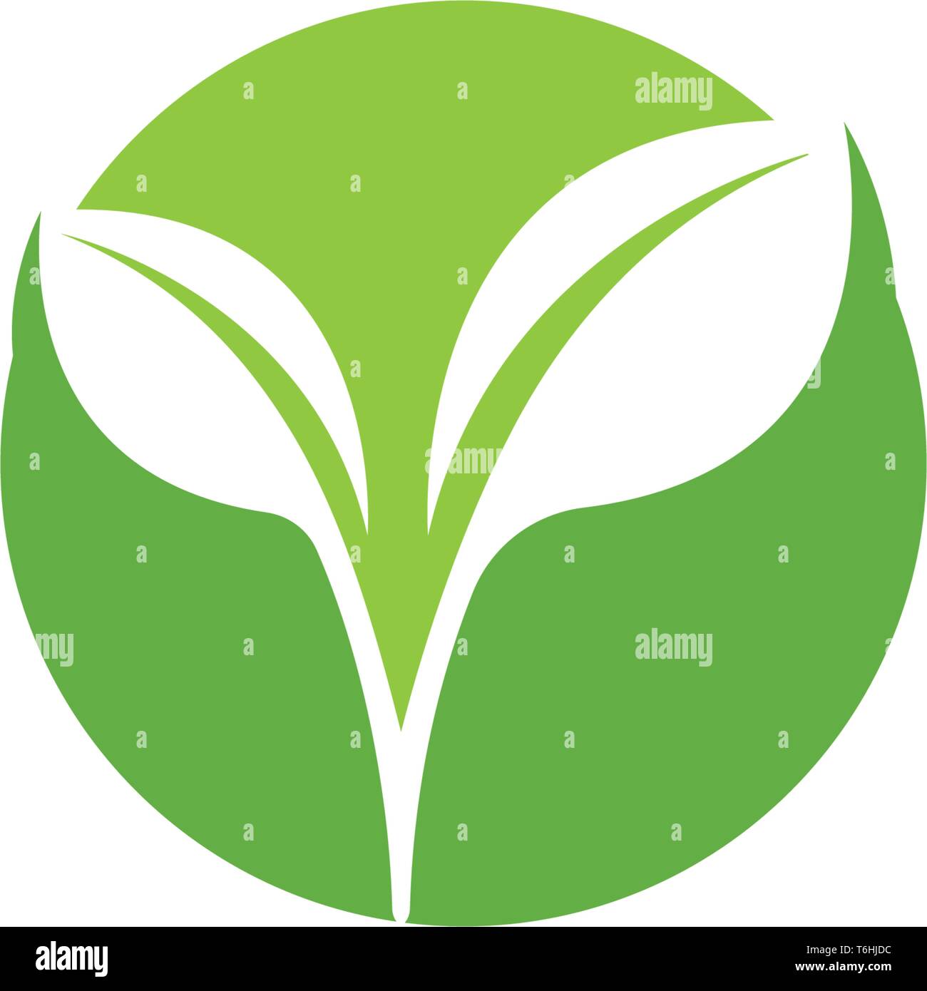 Leaf green nature logo and symbol health Stock Vector Image & Art - Alamy