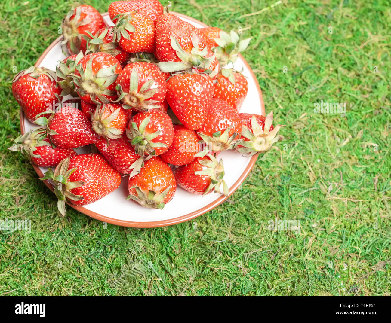 Plate with strawberries on green grass Stock Photo