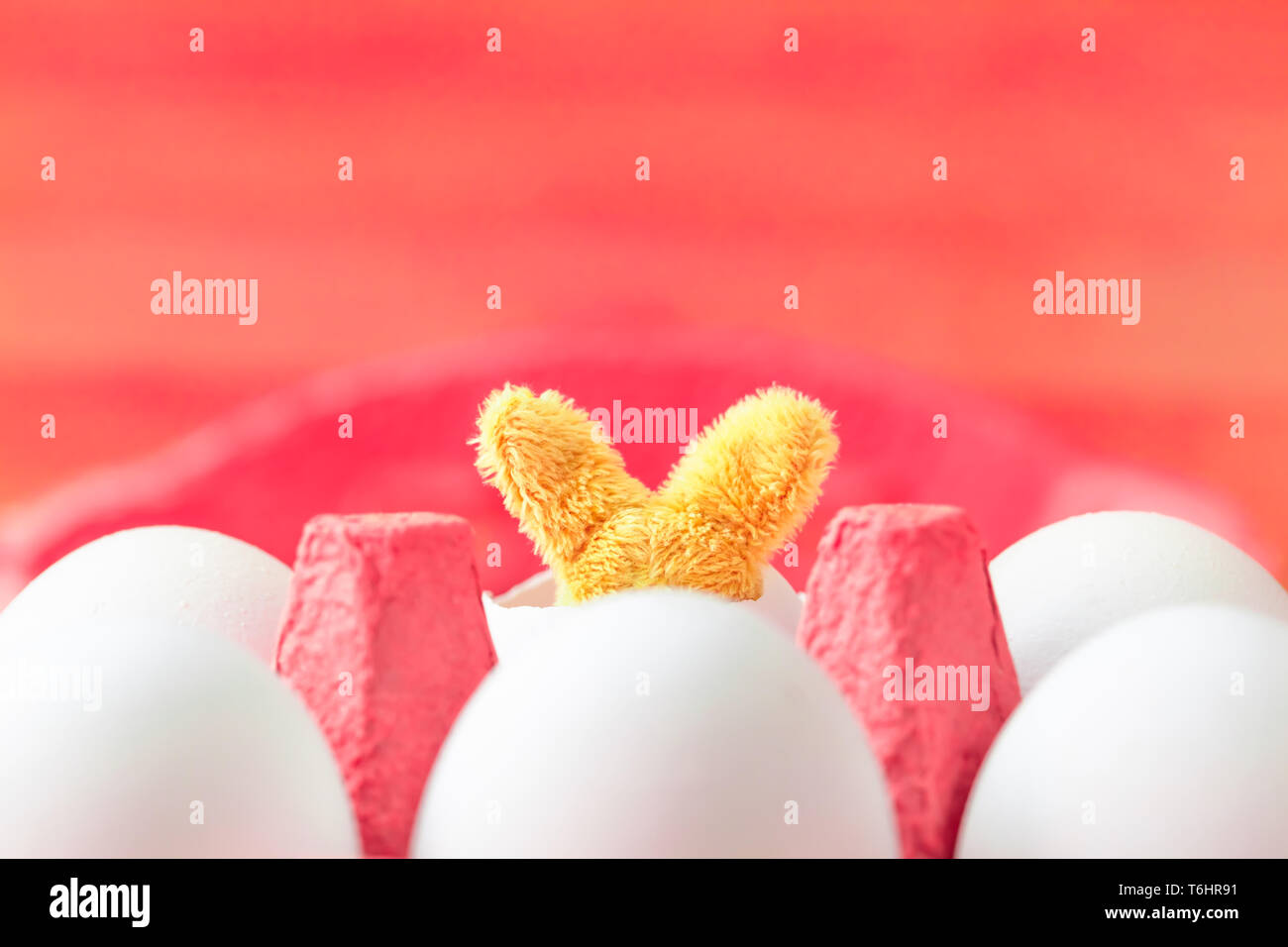 Rear view of two ears stuffed animal bunny hatched from egg inside carton box as pink easter background (copy space) Stock Photo