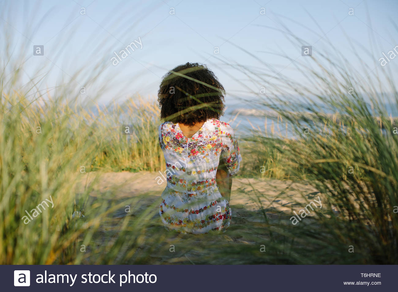 Back View Of Afro Hairstyle Black Woman Relaxing At The Beach On