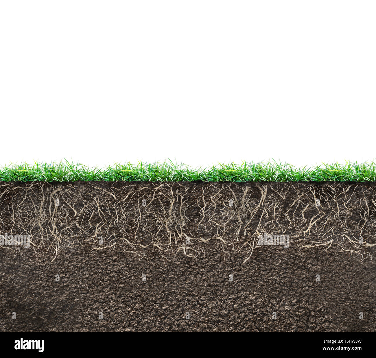 Soil profile agriculture hi-res stock photography and images - Alamy