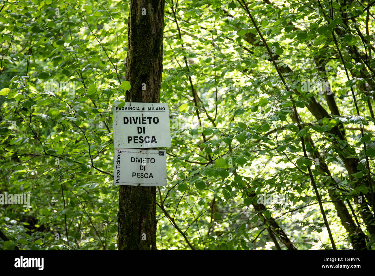 Italian language no fishing signs in parco ticino woodland, Lombardy, Italy Stock Photo