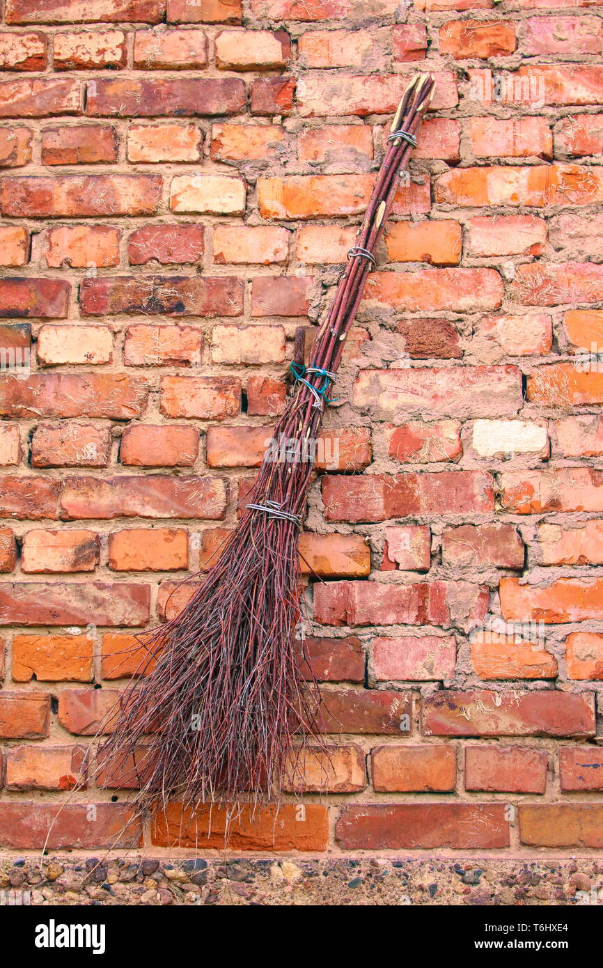 Witches' broom Stock Photo