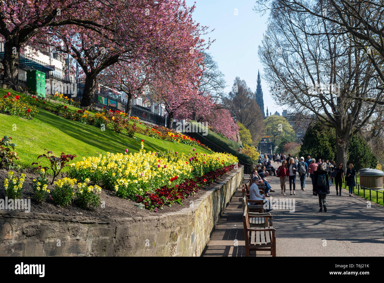 Spring flowers and blossoms bordering footpath in West Princes Street