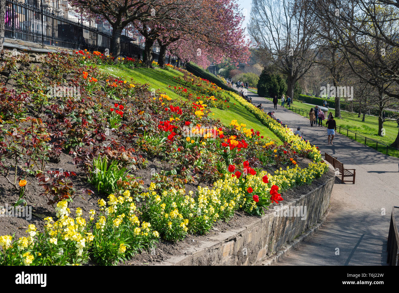 Spring scotland flowers hires stock photography and images Alamy