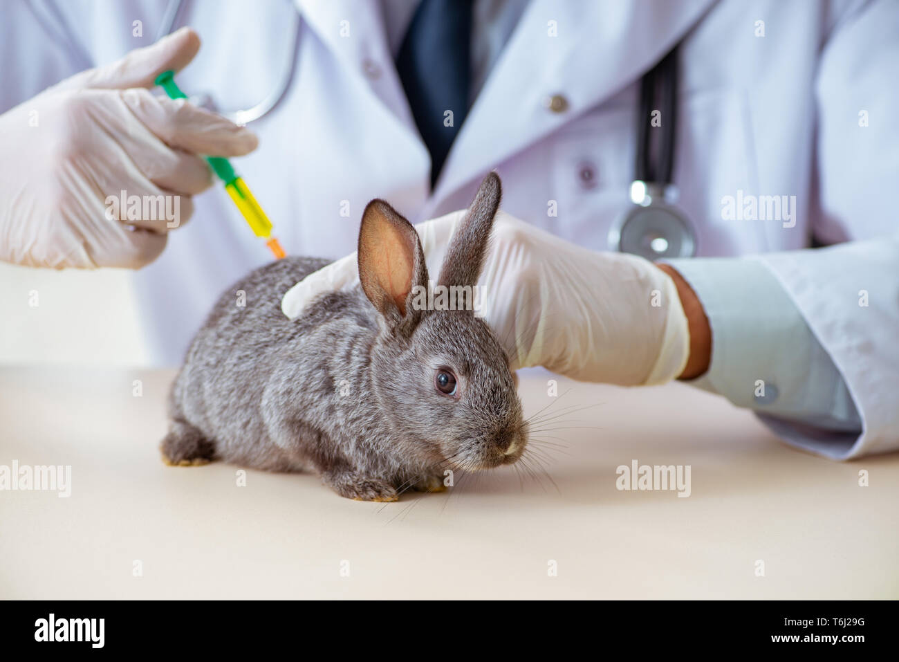 Колем кролика. Миксоматоз у кроликов вакцина. ВГБК вакцина для кроликов. Миксоматоз кроликов вакцинация. Лабораторные животные кролики.