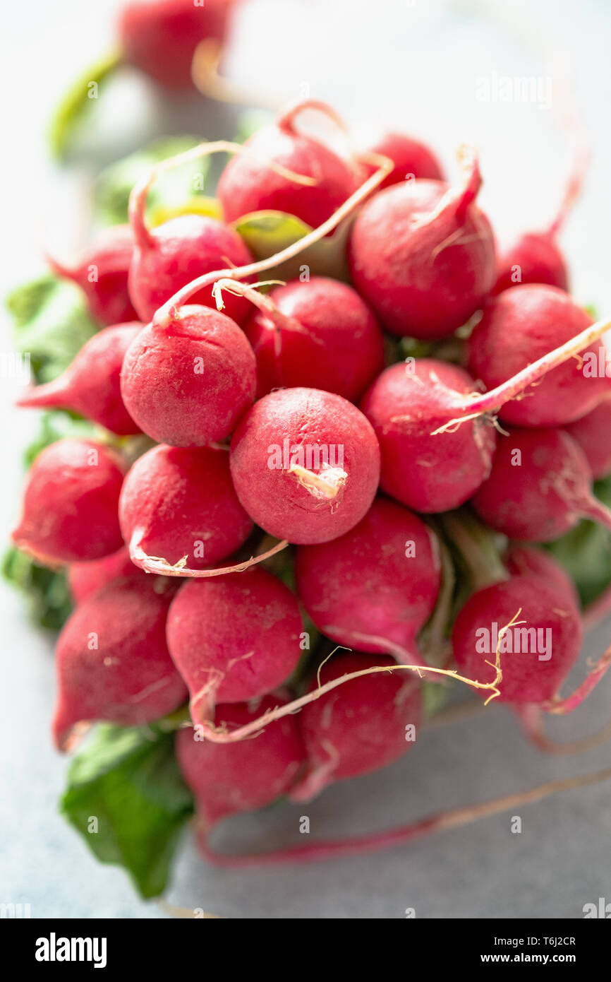 Radishes with salt and butter hires stock photography and images Alamy