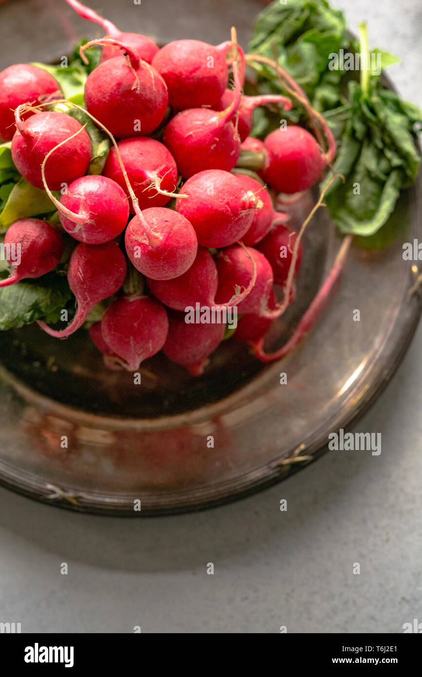 Bunch of radishes Stock Photo