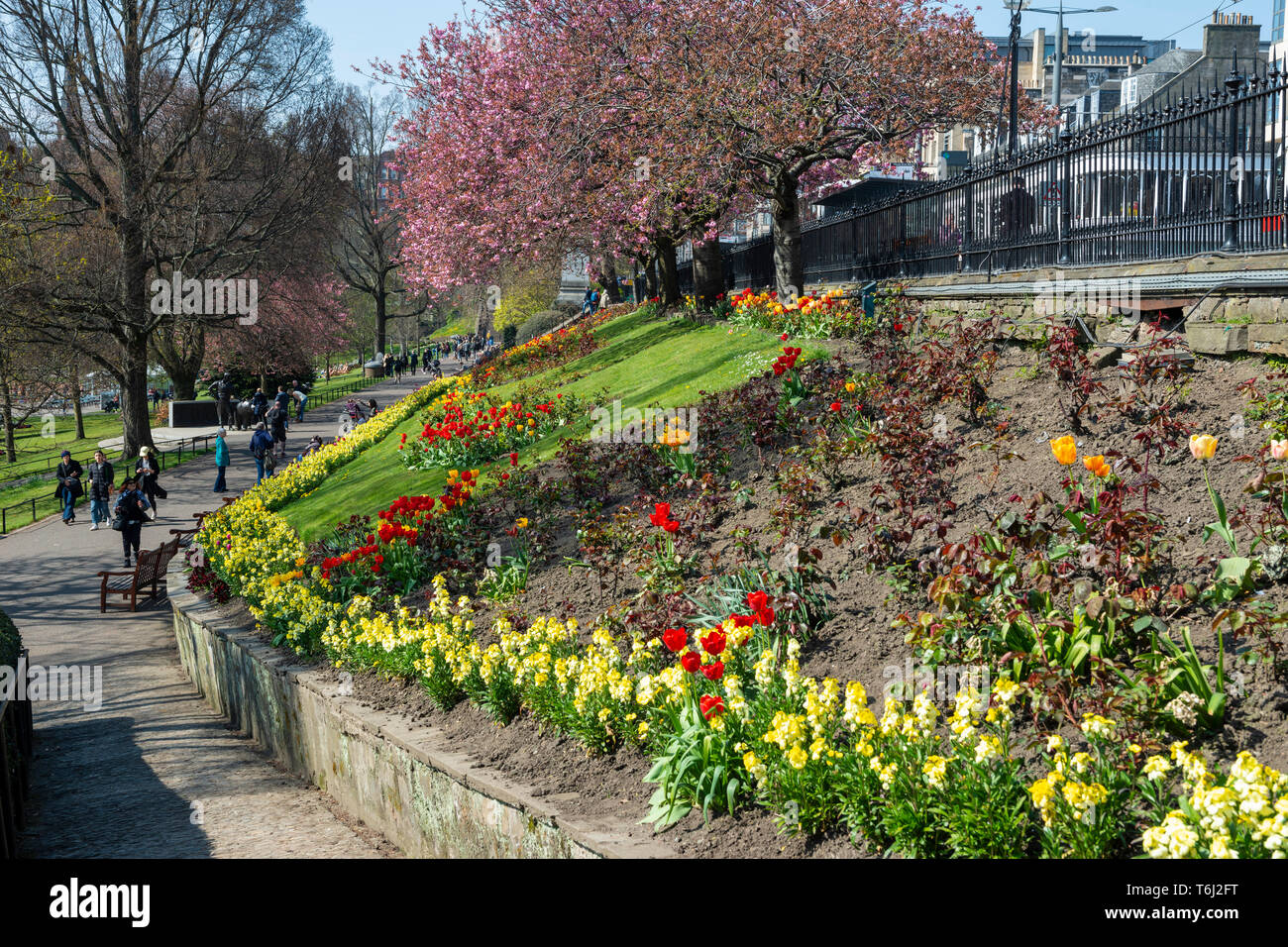 Spring flowers scotland hires stock photography and images Alamy