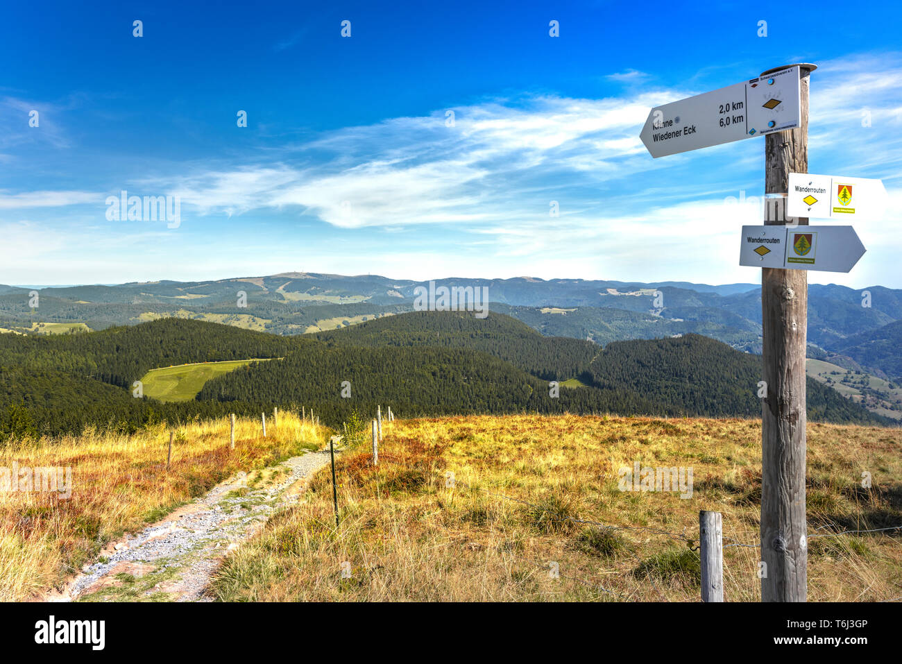 panorama on the hilltop of the mountain Belchen, view to the mountain Feldberg, High Black Forest, Germany, hiking plates in the foreground Stock Photo