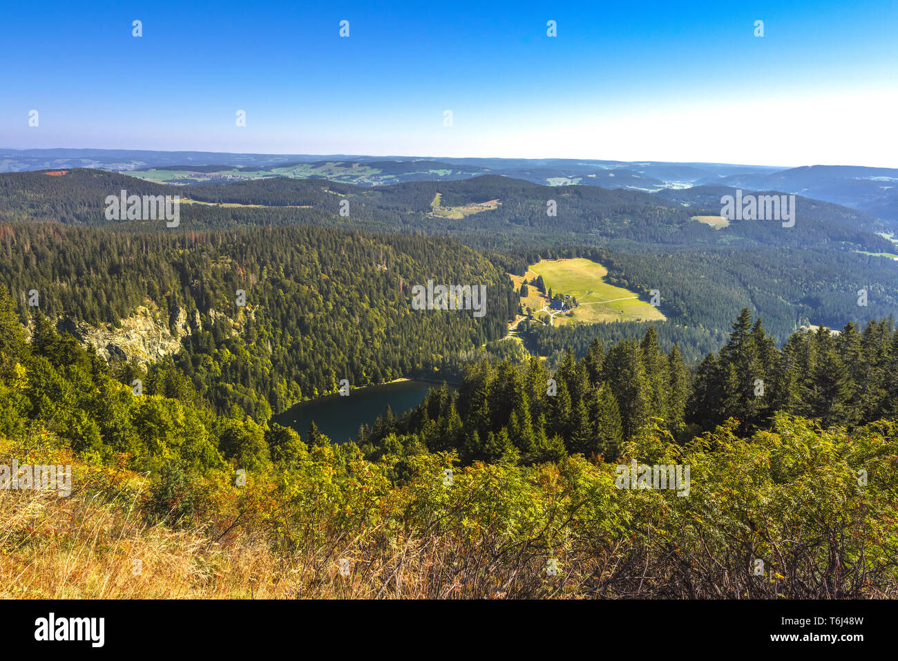 view from Seebuck to the cirque of the lake Feldsee, also Feldbergsee, Germany, Southern Black Forest Nature Park Stock Photo