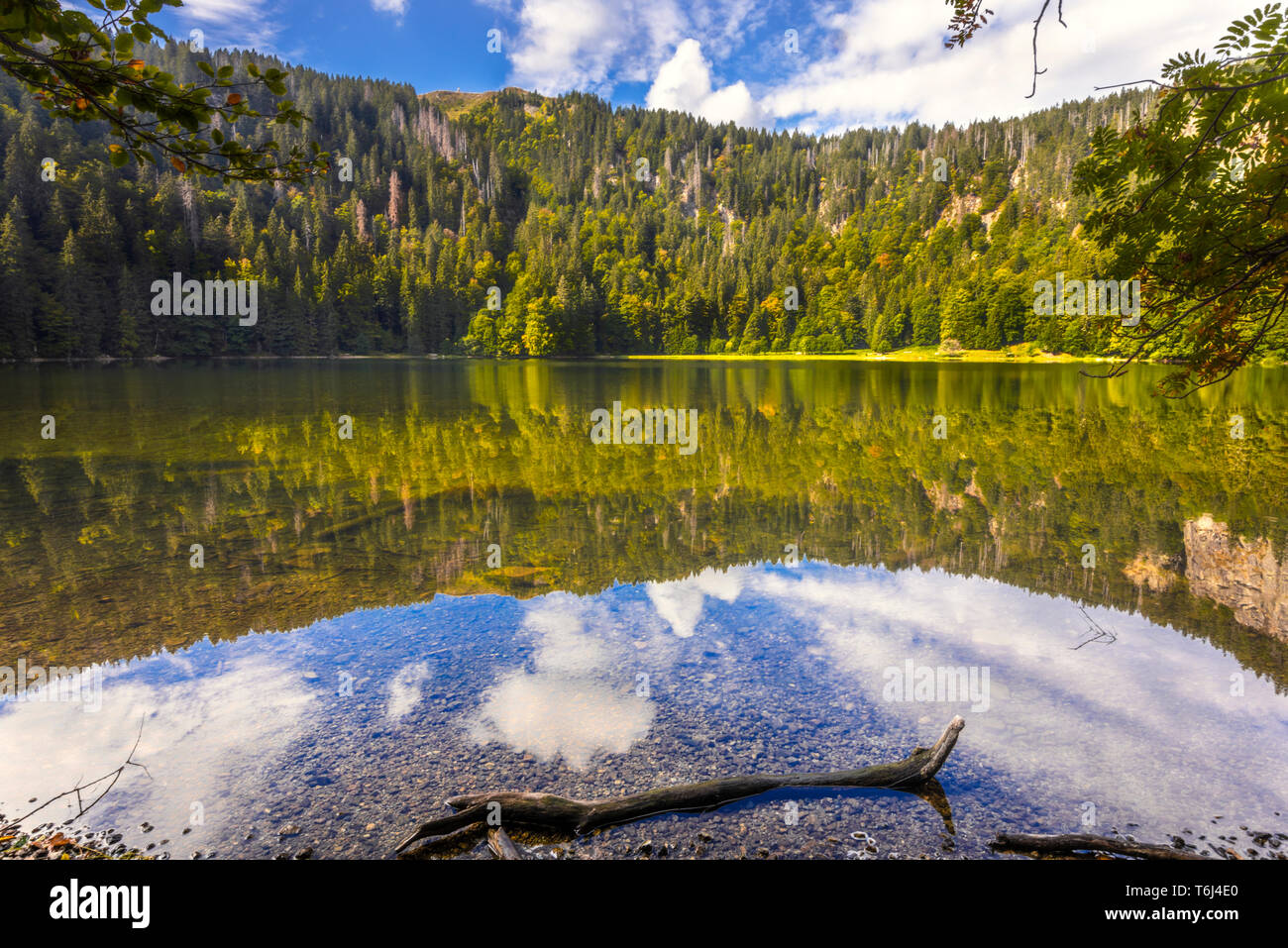 lake Feldsee, with rocky cliffs of the cirque, Feldberg, the raising of the mountain Seebuck above, Germany, also called Feldbergsee, nature reserve Stock Photo